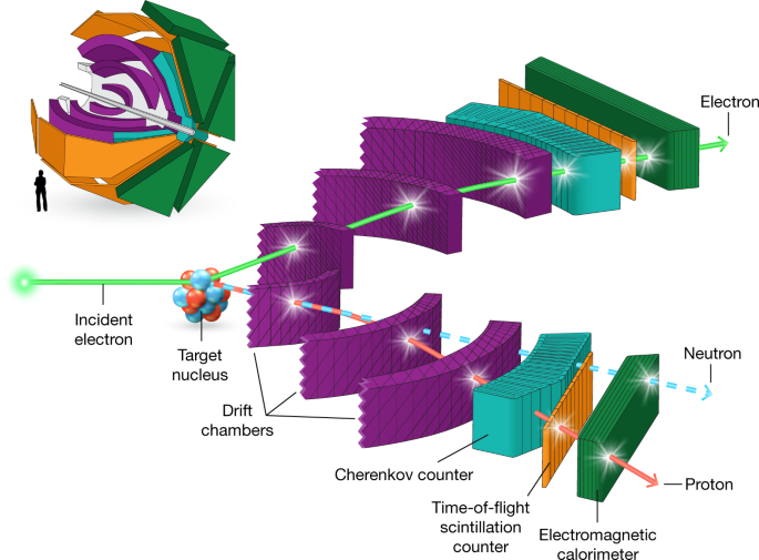 probing high momentum protons and neutrons in neutron rich nuclei