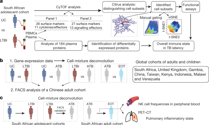 A multi-cohort study of the immune factors associated with M. tuberculosis infection outcomes