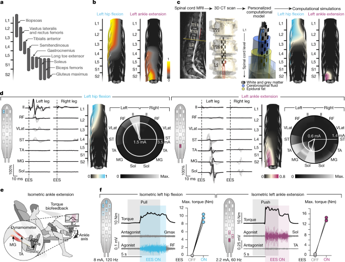 Adaptive Equipment - OT — Neuro Junction