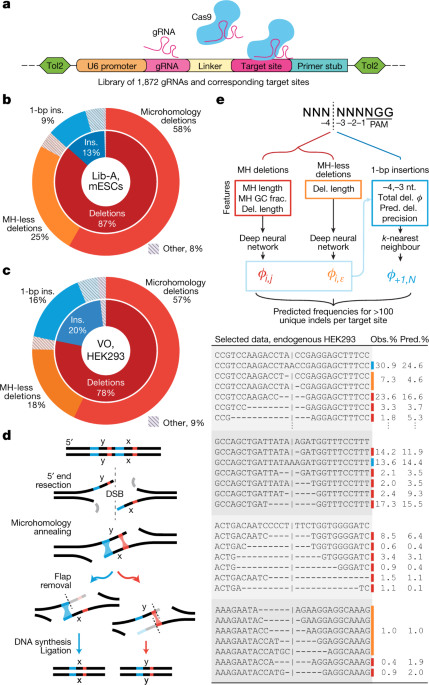 Predictable And Precise Template Free Crispr Editing Of Pathogenic A High Throughput Genome Integrated Library For Aying Cas9 Editing Products B Categories Of At 1 996 Lib Target Sites In Mescs C