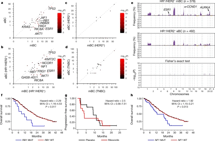 Fig. 2 Comparison with eBCs from the TCGA cohort revealed new
significantly mutated genes in mBCs