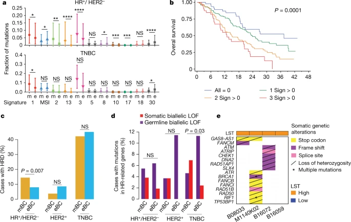 Fig. 3 Mutational processes and HRD in mBCs