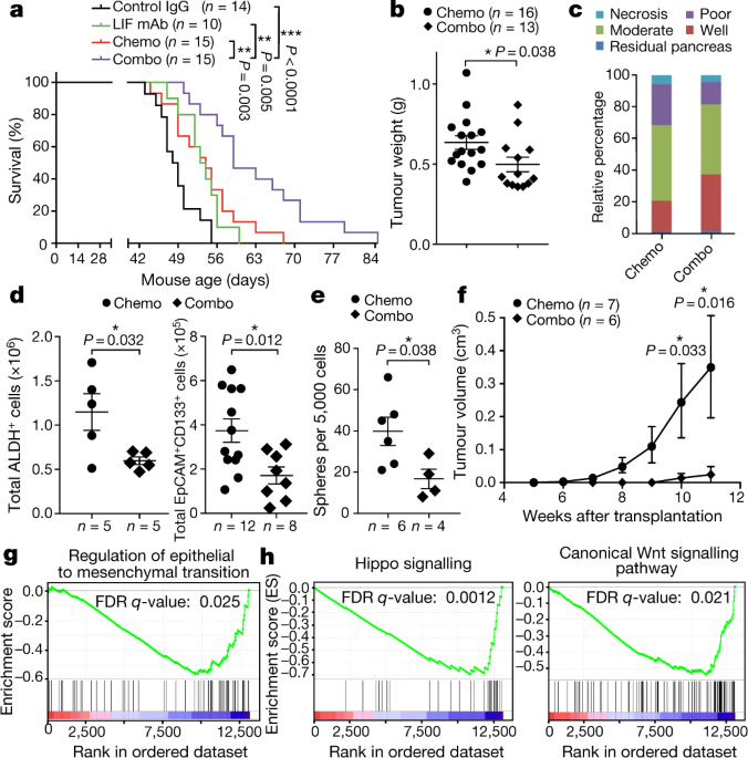 Targeting Lif Mediated Paracrine Interaction For Pancreatic Cancer Total Tumour Weight At The Endpoint Of Treatment C Pathological Grade Diffeiation N 6 Mice Per D Flow Cytometry Ysis