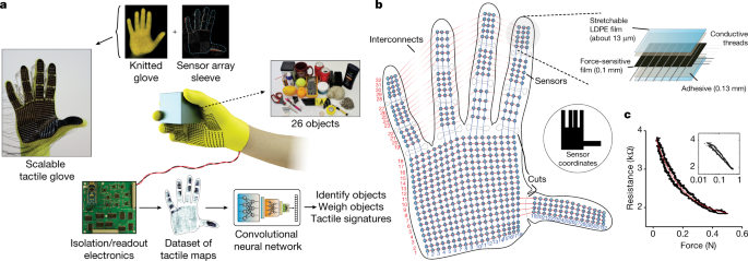 Learning the signatures of the human grasp using a scalable tactile glove