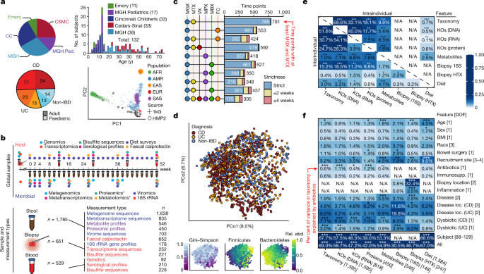 Multi-omics of the gut microbial ecosystem in inflammatory bowel