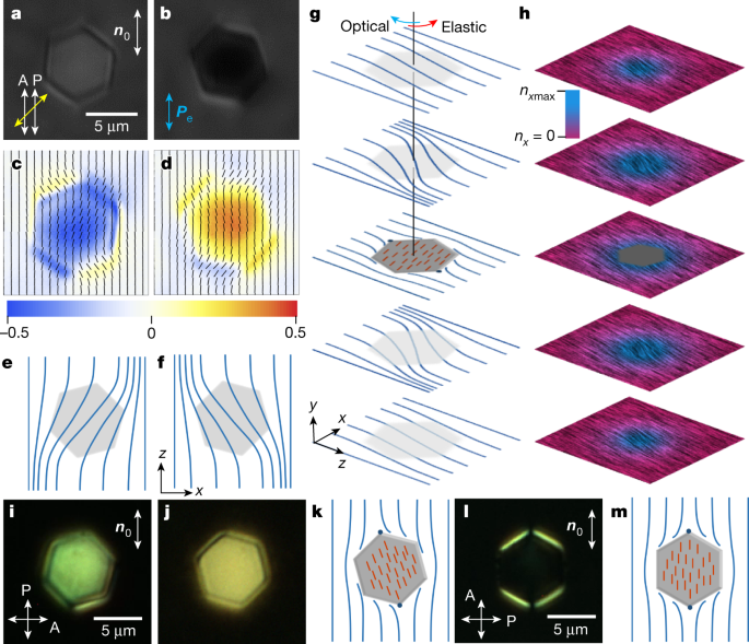 Elastic colloidal monopoles and reconfigurable self-assembly in liquid  crystals | Nature