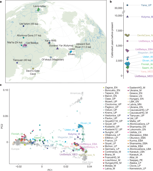 The population history of northeastern Siberia since the Pleistocene |  Nature