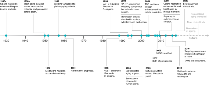 From Discoveries In Ageing Research To Therapeutics For - 