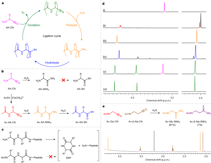 Peptide Ligation By Chemoselective Aminonitrile Coupling In Water Nature