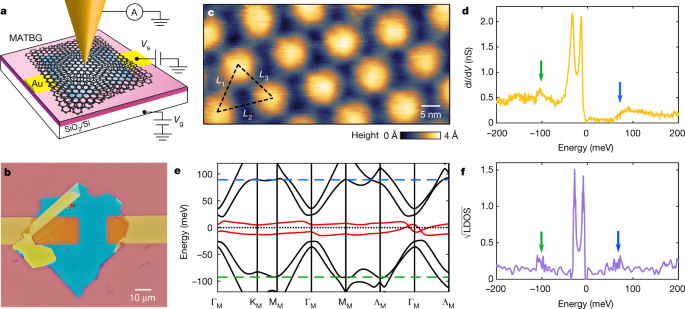 Spectroscopic Signatures Of Many Body Correlations In Magic Angle Twisted Bilayer Graphene Nature