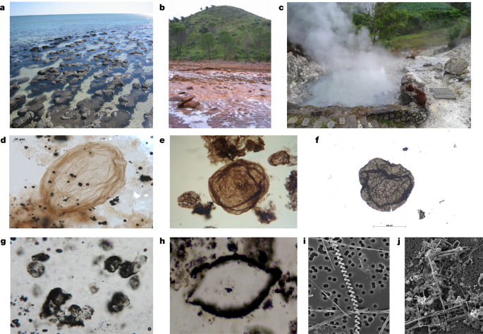 Challenges in evidencing the earliest traces of life