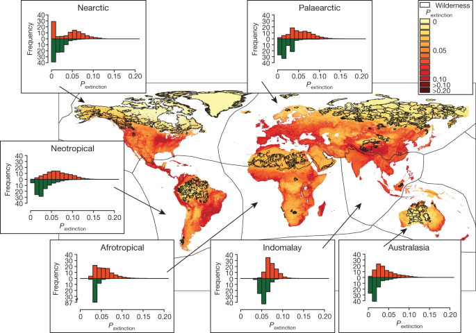 Wilderness areas halve the extinction risk of terrestrial biodiversity