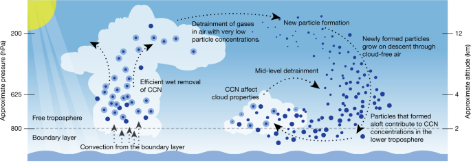 A large source of cloud condensation nuclei from new particle formation in  the tropics | Nature