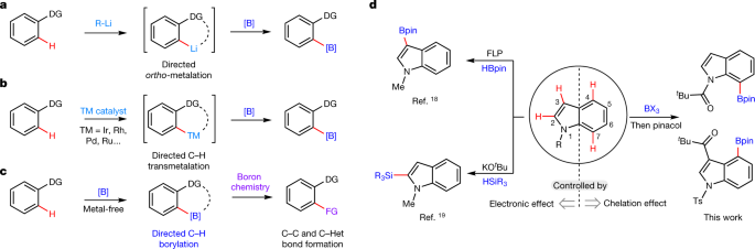 Metal Free Directed Sp 2 C H Borylation Nature