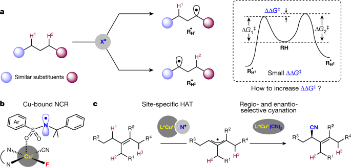 Site Specific Allylic C H Bond Functionalization With A Copper Bound N Centred Radical Nature