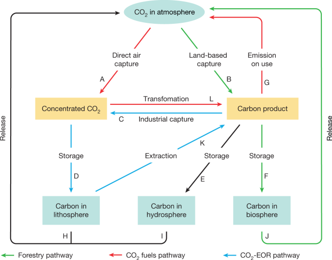 Carbon Sequestration: Carbon Capture, Removal, Utilization, and