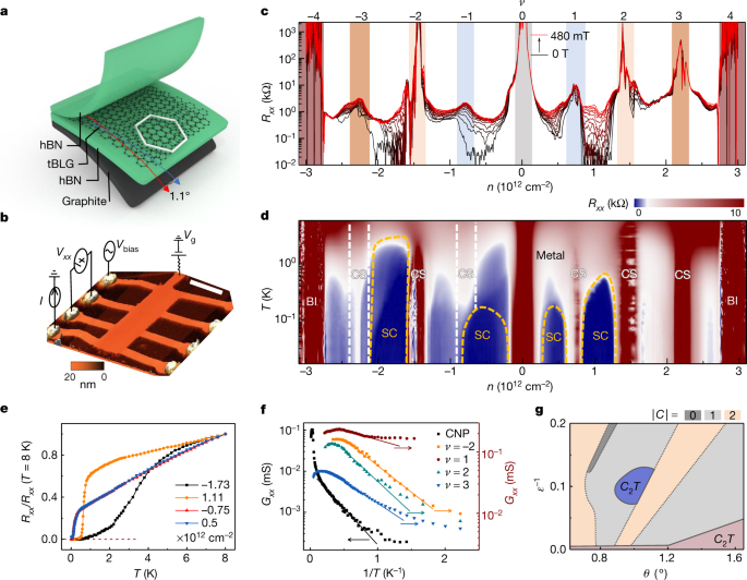 Superconductors, orbital magnets and correlated states in magic-angle bilayer graphene