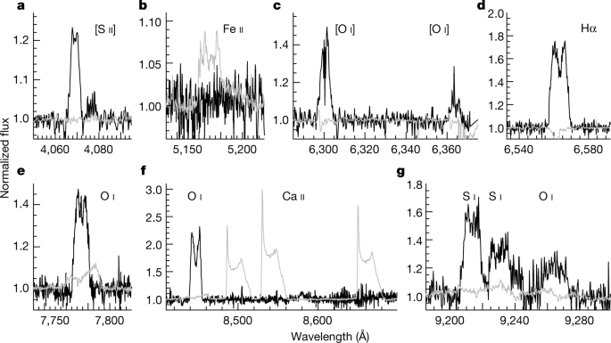 Massive 'forbidden planet' orbits a tiny star only 4 times its size