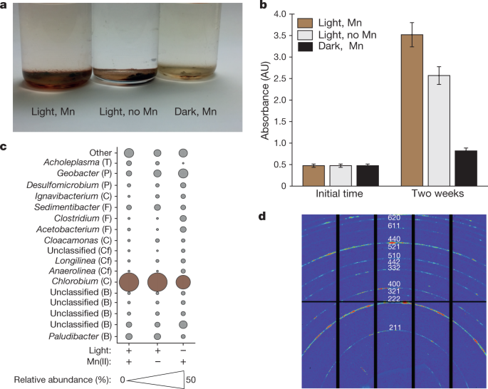 Light-driven anaerobic microbial oxidation of manganese