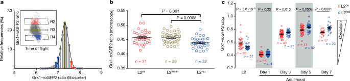 Developmental ROS individualizes organismal stress resistance and lifespan