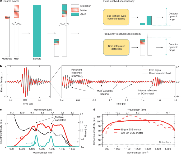 Field-resolved infrared spectroscopy of biological systems