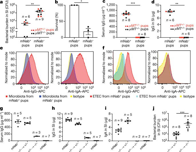 Microbiota Targeted Maternal Antibodies Protect Neonates From Enteric Infection Nature Microbiota Targeted Maternal Antibodies Protect Neonates From Enteric Infection Nature