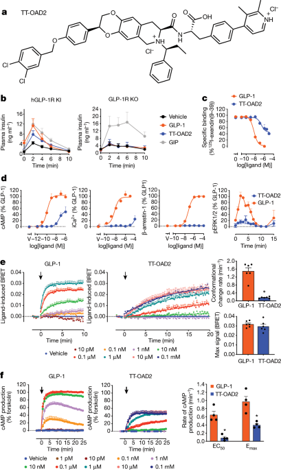 Activation of the GLP-1 receptor by a non-peptidic agonist