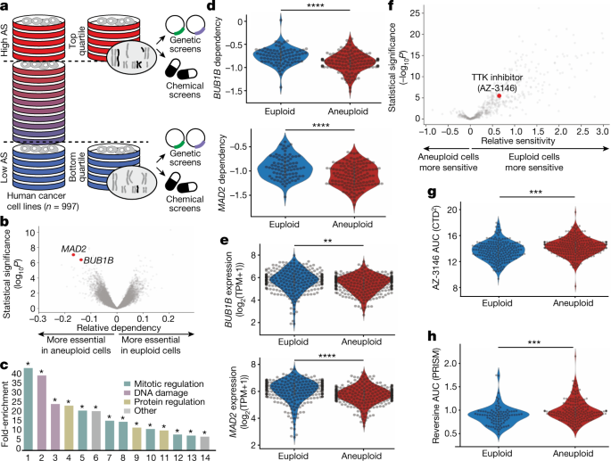 Aneuploidy Renders Cancer Cells Vulnerable To Mitotic Checkpoint Inhibition Nature