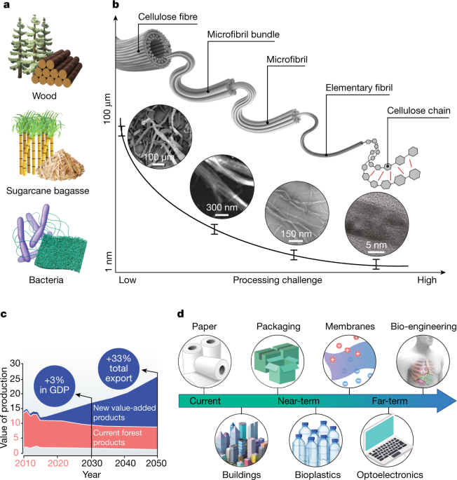 Developing cellulose as sustainable | Nature