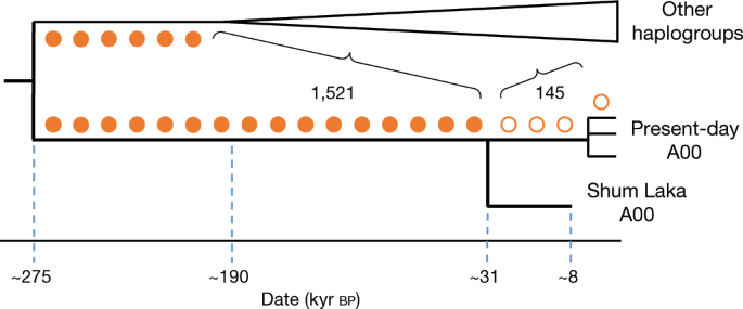 Ancient DNA and deep population structure in sub-Saharan African foragers