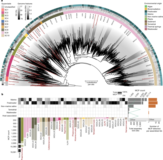 giant virus diversity and host