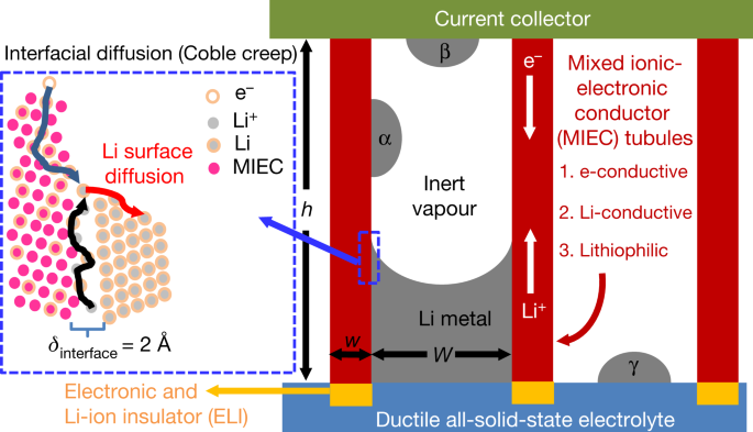 Li metal deposition and stripping in a solid-state battery via Coble creep  | Nature