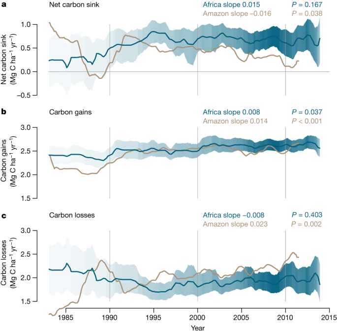 Asynchronous carbon sink saturation in African and Amazonian tropical  forests | Nature