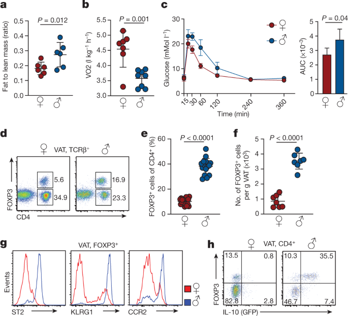 Sex-specific adipose tissue imprinting of regulatory T cells