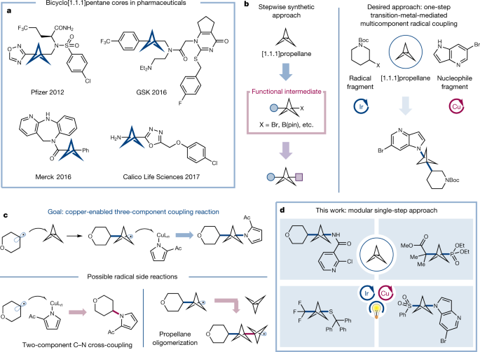 Copper-mediated synthesis of drug-like bicyclopentanes | Nature