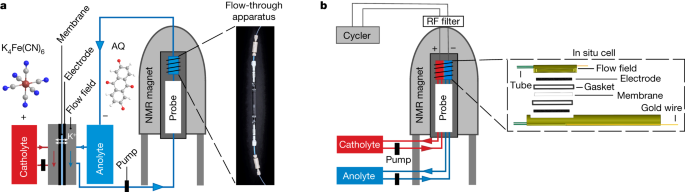 In situ NMR metrology reveals reaction mechanisms in redox flow batteries