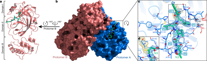 Structure Of M Pro From Sars Cov 2 And Discovery Of Its Inhibitors Nature