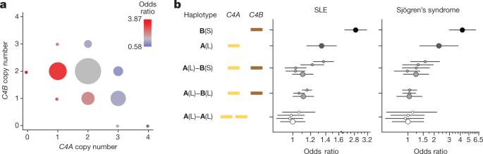 Complement genes contribute sex-biased vulnerability in diverse disorders