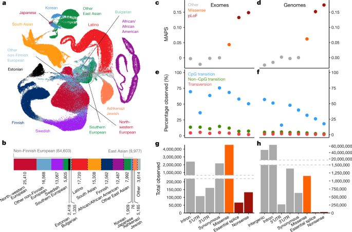 The Mutational Constraint Spectrum Quantified From Variation In 141 456 Humans Nature
