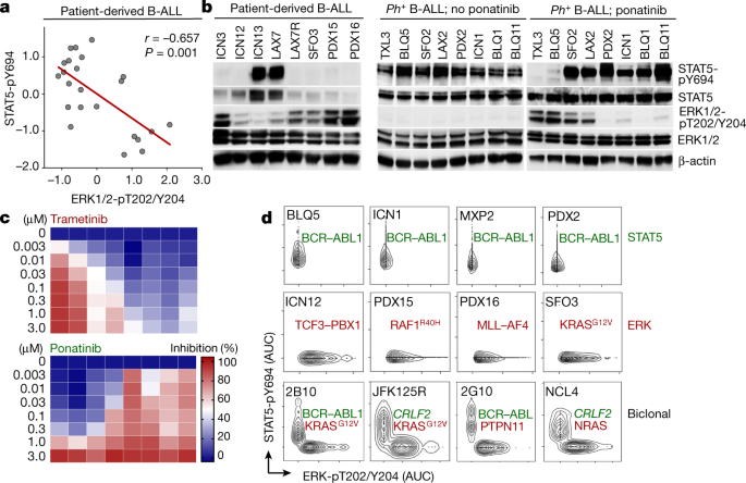 Signalling Input From Divergent Pathways Subverts B Cell Transformation Nature