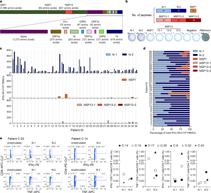 Sars Cov 2 Specific T Cell Immunity In Cases Of Covid 19 And Sars And Uninfected Controls Nature