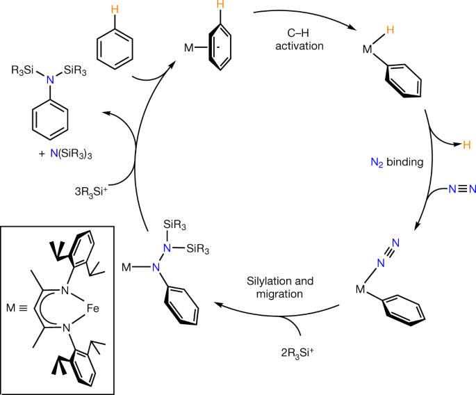 Coupling Dinitrogen And Hydrocarbons Through Aryl Migration Nature