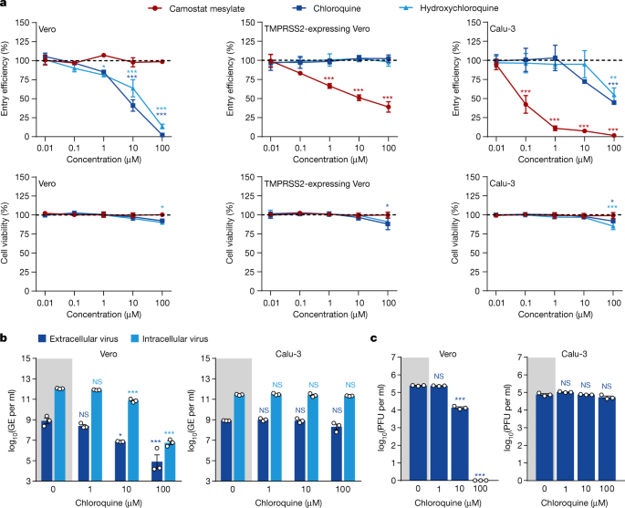 Chloroquine Does Not Inhibit Infection Of Human Lung Cells With Sars Cov 2 Nature