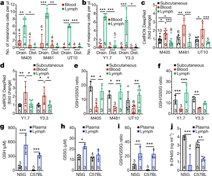 glutathione melanoma Role of Glutathione in Cancer: From Mechanisms to Therapies main image 1