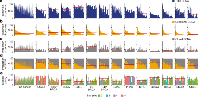Pervasive chromosomal instability and karyotype order in tumour evolution |  Nature