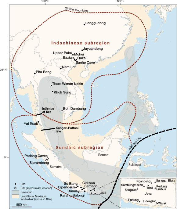 Environmental drivers of megafauna and hominin extinction in Southeast Asia - Nature.com