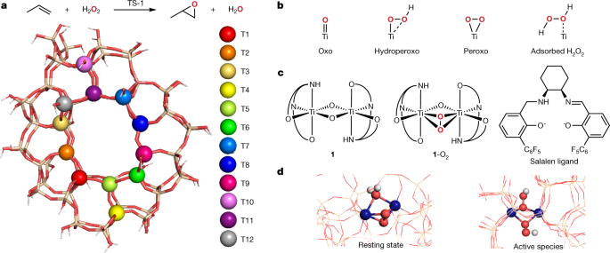 Efficient Epoxidation Over Dinuclear Sites In Titanium Silicalite 1 Nature