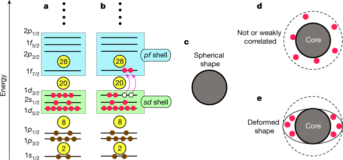 The impact of nuclear shape on the emergence of the neutron dripline | Nature