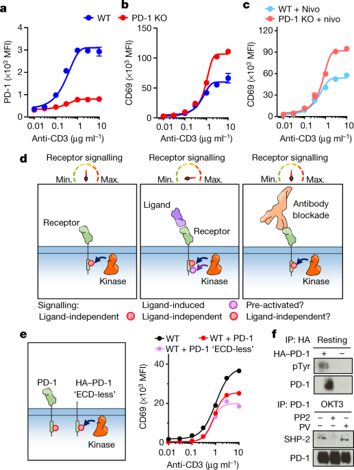 Immune receptor inhibition through enforced phosphatase recruitment