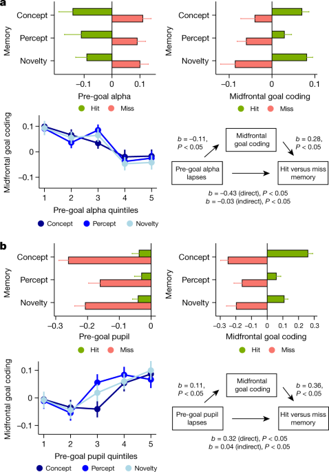 Memory failure predicted by attention lapsing and media multitasking - Nature.com